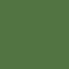 K79009 - H.LINE Gloss Acrylic Olive Green 275 ml view 1
