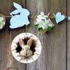 Acrylic Easter Bunny Hanging Ornament, 2D Easter Decor view 2