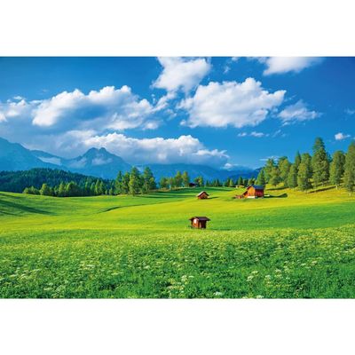 MIRRORANG 4.2 x 3 m Spring Alpine Meadow Photography Backdrop