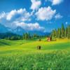 MIRRORANG 4.2 x 3 m Spring Alpine Meadow Photography Backdrop view 2