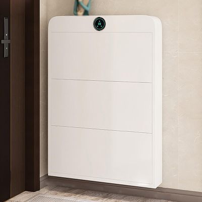 ZDMZR Smart Narrow Shoe Cabinet, 15 cm, White, 80 cm/32 in