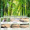 Sh000ad Retro Bamboo Roller Blind, Drill-Mount, Indoor/Outdoor, 165 x 100 cm view 3