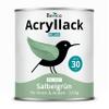 Berico Acrylic Paint - Sage Green - 3.6 kg - 4-in-1 Multi-Surface Paint for Furniture, Wood, Metal and Tile - Interior and Exterior view 1