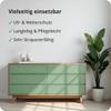 Berico Acrylic Paint - Sage Green - 3.6 kg - 4-in-1 Multi-Surface Paint for Furniture, Wood, Metal and Tile - Interior and Exterior view 4
