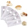 EVANEM 10-Pack Breathable Plastic Plant Grow Bags, 15 x 50 cm view 3
