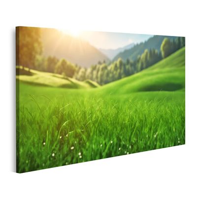 islandburner Canvas Wall Art, Green Meadow and Mountain Landscape