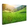 islandburner Canvas Wall Art, Green Meadow and Mountain Landscape view 1