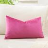 Artscope Velvet Pillow Cover, Rose Red, 30 x 50 cm view 2