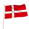 Danish National Flag with Eyelets, 90 x 150 cm view 1
