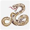 FINGERINSPIRE Realistic Snake Painting Stencil, 30 x 30 cm, Reusable Plastic Template view 1