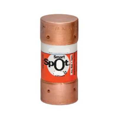 CAALO 1-Piece AJT40 Fuse, 600 V, 40 A