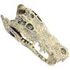 Angoily Resin Dinosaur Skull Figurine, 1 pc, Beige view 1