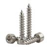 CHATROOM 50-Piece M4 M5 Nickel-Plated Carbon Steel Hex Socket Self-Tapping Screws (Color: 25 mm x 50 pcs, Size: M4) view 2