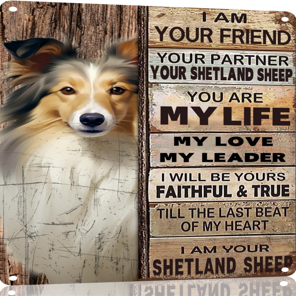 TopPacific Metal Sign with Shetland Sheep, Vintage Wall Art, "I Am Your Friend," Gift for Dog Lovers