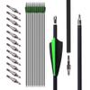 surwolf 31.5" Carbon Archery Arrows, Spine 500, Removable Tips, for Compound, Recurve & Long Bows (Green, 24) view 1