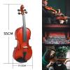 Professional 3/4 Matte Student Violin with Case and Bow Set view 4