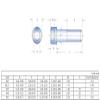 Security/Knurled Screws, 20 Pieces, M2–M5, Hex Socket, Gold-Plated Titanium, 455 mm (G view 3