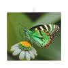 Green Leaf Colorful Butterflies Super Absorbent Kitchen Countertop Drying Mat, Ultra-Fine Microfiber Cleaning Pad view 1