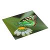 Green Leaf Colorful Butterflies Super Absorbent Kitchen Countertop Drying Mat, Ultra-Fine Microfiber Cleaning Pad view 2