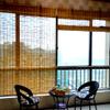 Natural Reed Bamboo Roll-Up Blind for Windows, Balconies and Outdoor Areas view 1