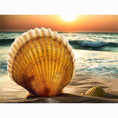 Diamond Painting Seashell Kit for Adults, Full 5D DIY, 50 x 70 cm