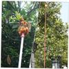 Red Iron Fruit-Picking Baskets for Autumn Parties and Fruit view 4