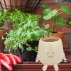 Youany Face Planter, Resin Plant Pot with Swinging Face for Indoor and Outdoor Plants view 4