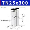 TN25 Series Twin-Rod Pneumatic Cylinder, 25 mm Bore, 10/20/30/40/50/300 mm Stroke, Double-Acting, Compact (Color: TN25X300) view 2
