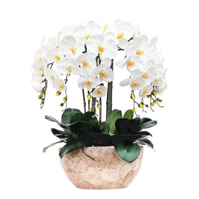 Artificial Phalaenopsis Flowers, 8-Piece Arrangement