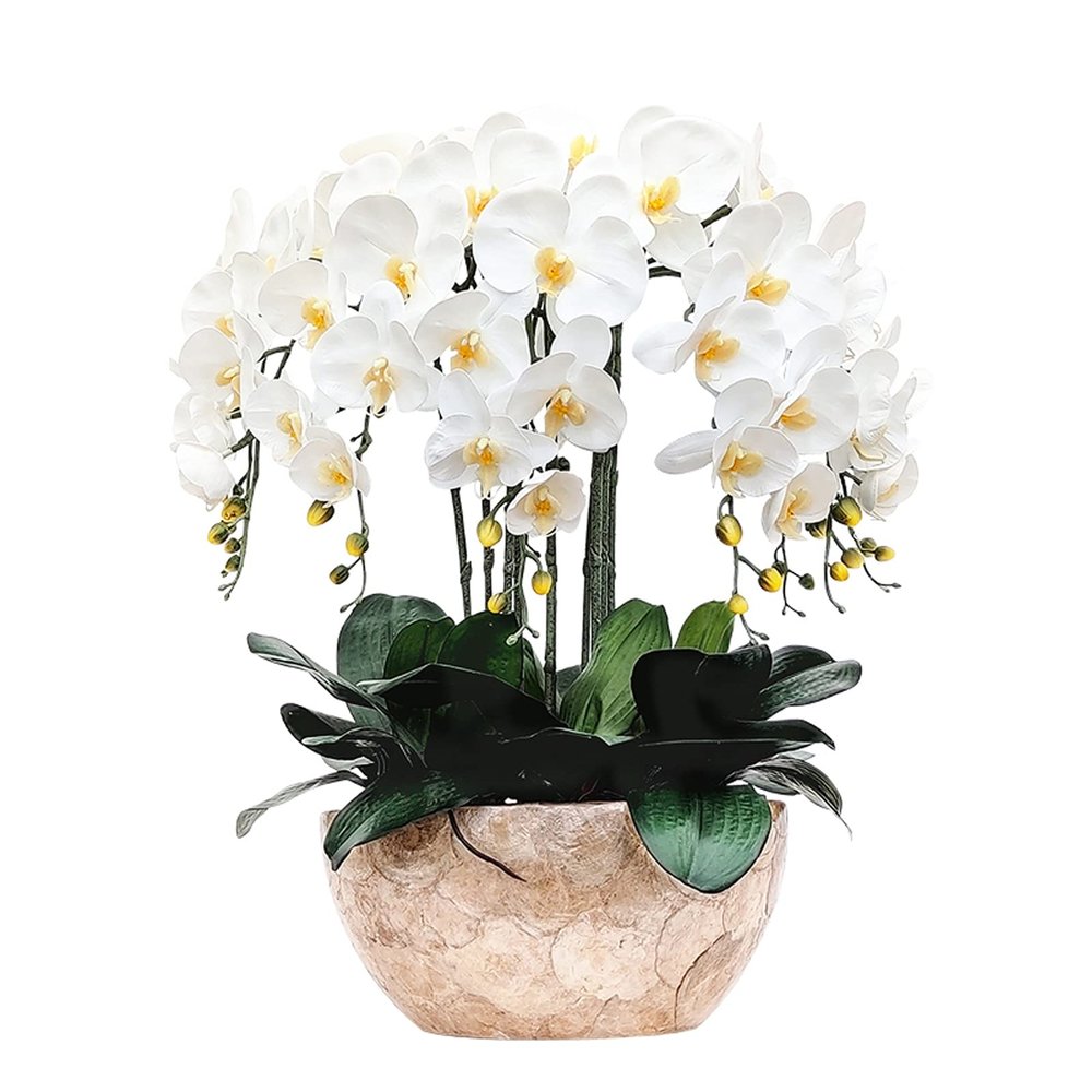 Artificial Phalaenopsis Flowers, 8-Piece Arrangement