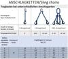 Joma-Tech 2-Leg Chain Sling, 1.5 m, Grade 10, 8 mm, Blue, with Shortening Claw view 4