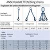 Joma-Tech 4-Leg Chain Sling, 1 m, Grade 10, 8 mm, Blue, with Safety Hooks view 3