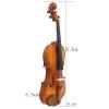 Beginner Violin, 1/2 Size, with Case and Bow view 2