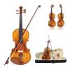 Beginner Violin, 1/2 Size, with Case and Bow view 3