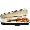Beginner Violin, 1/2 Size, with Case and Bow view 4