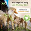 MeriWoolArt XXL Merino Wool, 100% Virgin Wool, Extra-Thick Felting Yarn (45 cm), Aubergine, 1 kg view 3