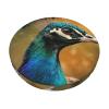 Round Velvet Seat Cover with Feather Motif view 2