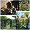 Sturdy 19 mm Galvanized Metal Garden Arbor with Base, White, 120 × 220 cm view 3