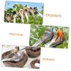 5-Piece Artificial Sparrow Figurine Set for the Garden view 3