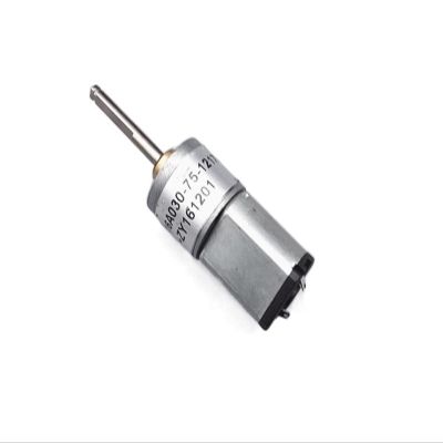 GRASAKY DC 6–12V 030 Geared Motor, Reversible Brushed Motor