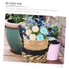 CAXUSD Lined Seagrass Flower Basket with Handles, Khaki view 2