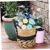 CAXUSD Lined Seagrass Flower Basket with Handles, Khaki view 3