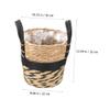 CAXUSD Lined Seagrass Flower Basket with Handles, Khaki view 4