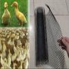 Black Plastic Mesh Garden Fence Roll view 1