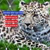 Flexible 304 Stainless Steel Wire Rope Mesh Safety Net, L1.5 × W1 m / L4.92 × W3.28 ft view 4