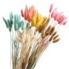 FOSANGPUSHI Dried Flowers, 20 Pieces, 45 cm Natural Bunny Tail Grass, Reddish Brown view 2