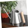 900 ml Stainless Steel Watering Can with Long Spout for Houseplants view 2