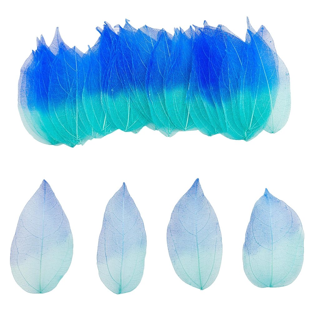 50 Blue Gradient Dried Leaves for Crafts and Decoration