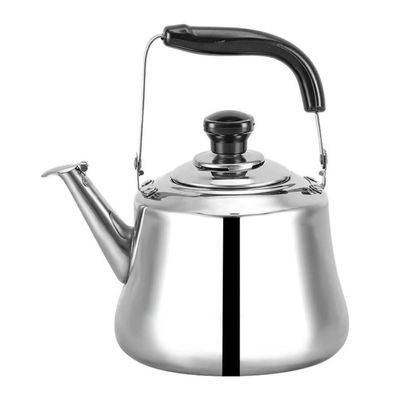 Stainless Steel Whistling Tea Kettle with Infuser, 1 L, Color A