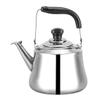 Stainless Steel Whistling Tea Kettle with Infuser, 1 L, Color A view 1